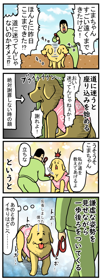 犬って他の人と行った散歩ルートどや顔で紹介しがち まめきちまめこニートの日常 Powered By ライブドアブログ