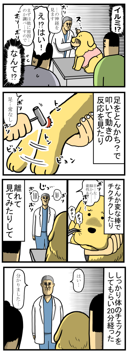 こまち闘病記４ 他県の病院へmriを撮りに行った まめきちまめこニートの日常 Powered By ライブドアブログ