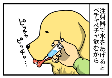 こま1-15