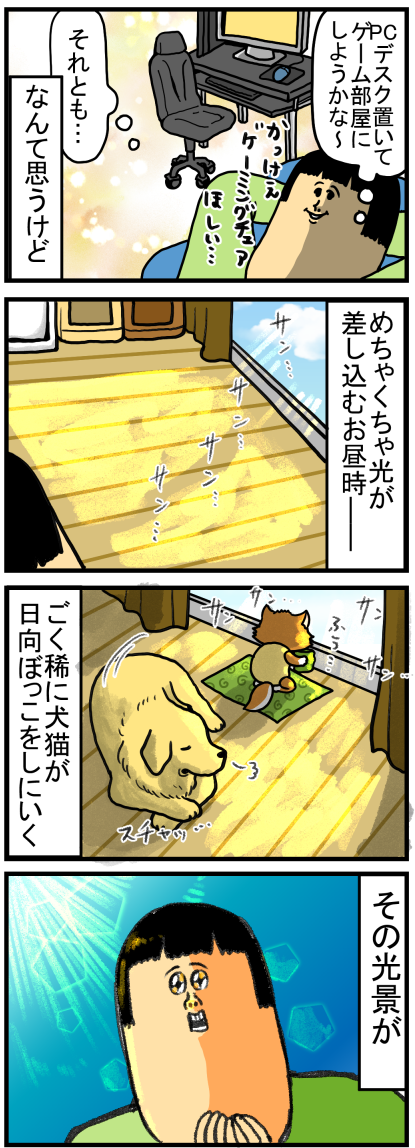 20201127-2