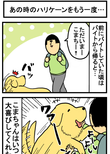 ３