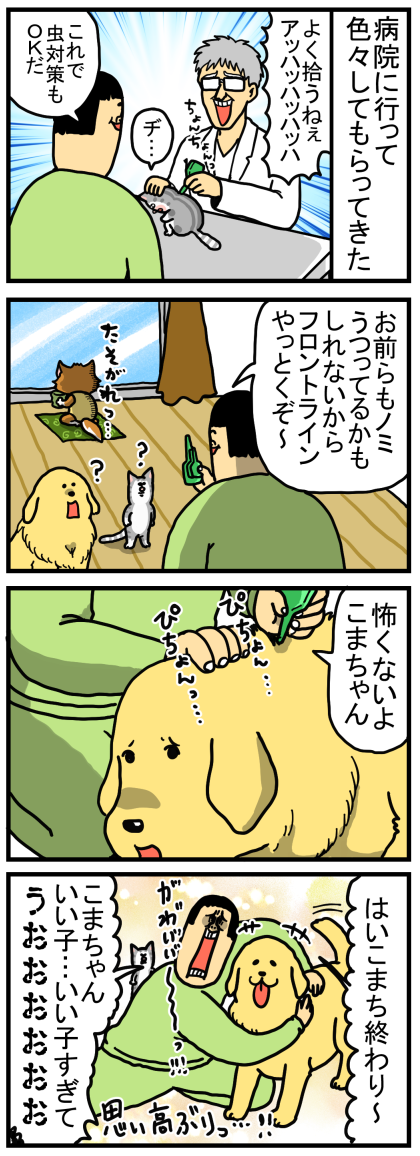 子猫2-1