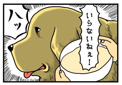 こま1-11