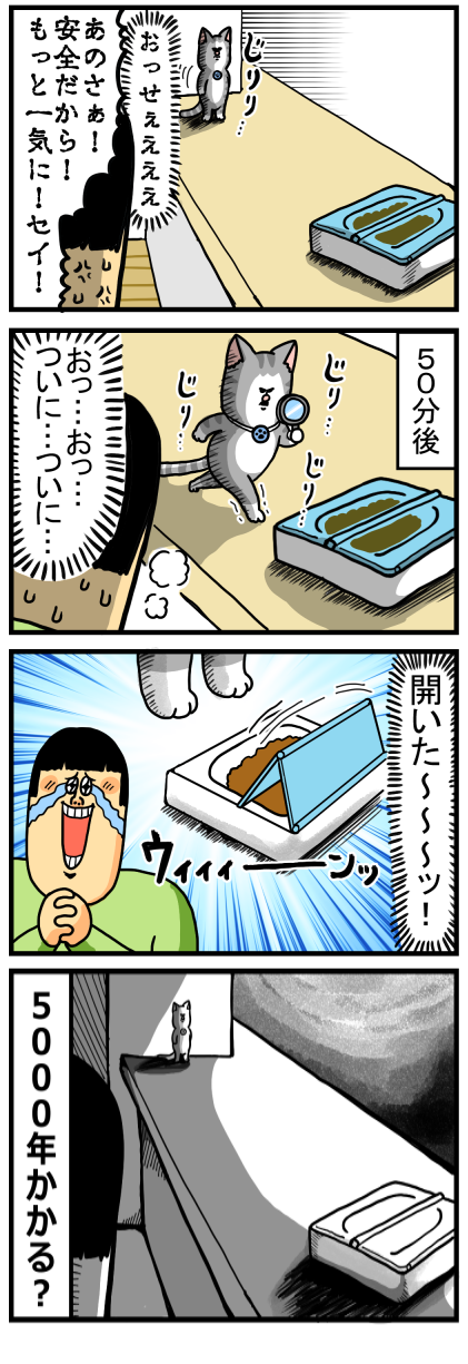 自動でフタが開く猫用ご飯入れを奮発して買った結果 : まめきちまめこ 