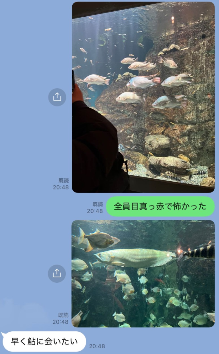 20250205-6