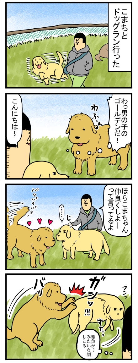 こまち ドッグランでナンパされる まめきちまめこニートの日常 Powered By ライブドアブログ