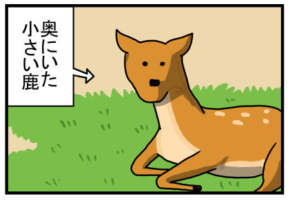 広島3-5