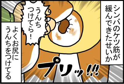 お尻の筋肉がゆるまっている婆ちゃん猫 : まめきちまめこニート お尻の筋肉がゆるまっている婆ちゃん猫 : まめきちまめこニート