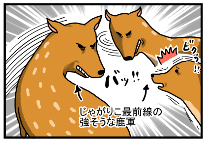 広島3-8