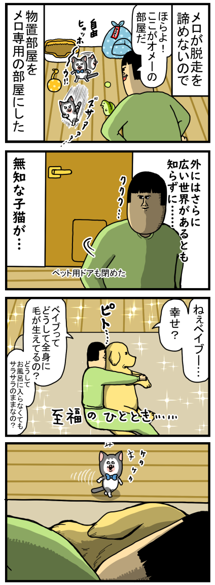 定数 刃 オーストラリア人 まめ きち まめ こ 本 Aska Traffic Service Jp