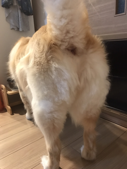 しり