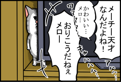 とにかくシャイなあんちきしょう猫 : まめきちまめこニートの日常