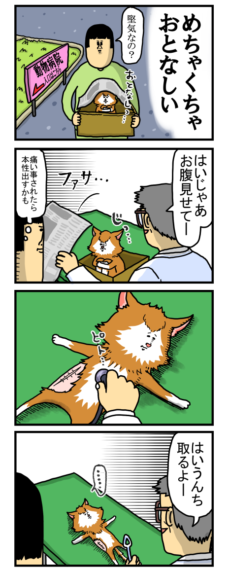 捨て猫1-2