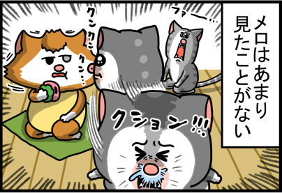 臭いとクシャミするタイプの猫 まめきちまめこニートの日常 記事コメント 1 Powered By ライブドアブログ 臭いとクシャミするタイプの猫 まめきちまめこニートの日常 記事コメント 1 Powered By ライブドアブログ