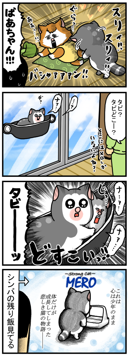 20210711-2