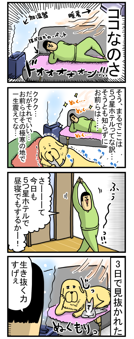 新224-2