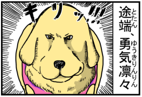 こまち