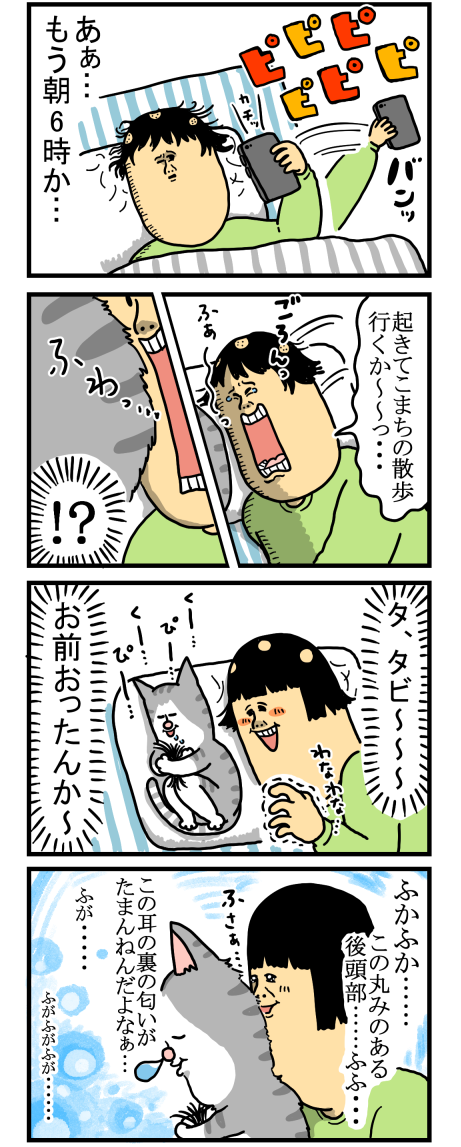 いつもこうして一日が終わっていくよ まめきちまめこニートの日常 Powered By ライブドアブログ いつもこうして一日が終わっていくよ まめきちまめこニートの日常 Powered By ライブドアブログ