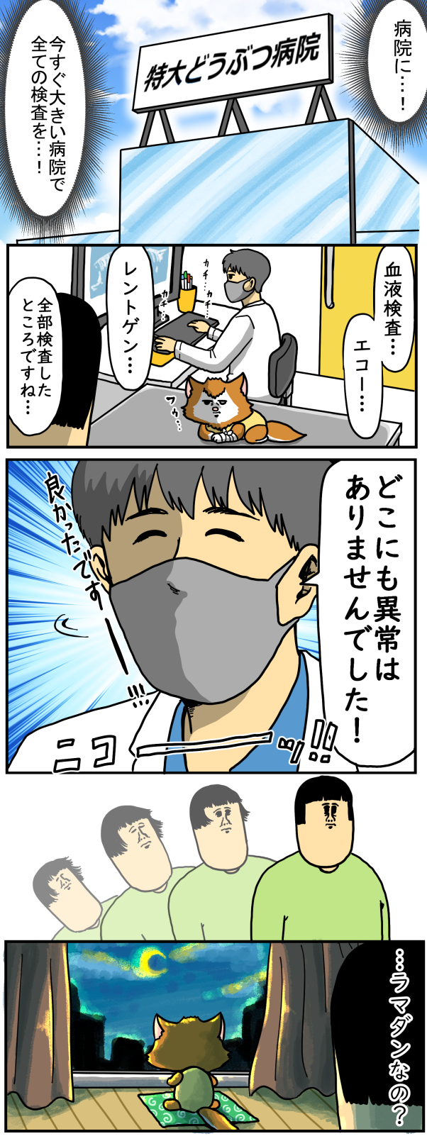 急に食べることが嫌になってしまったシンバ まめきちまめこニートの日常 Powered By ライブドアブログ