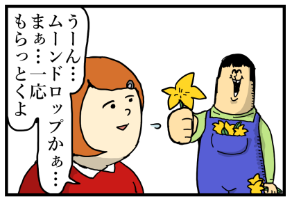 牧場物語３つの里13