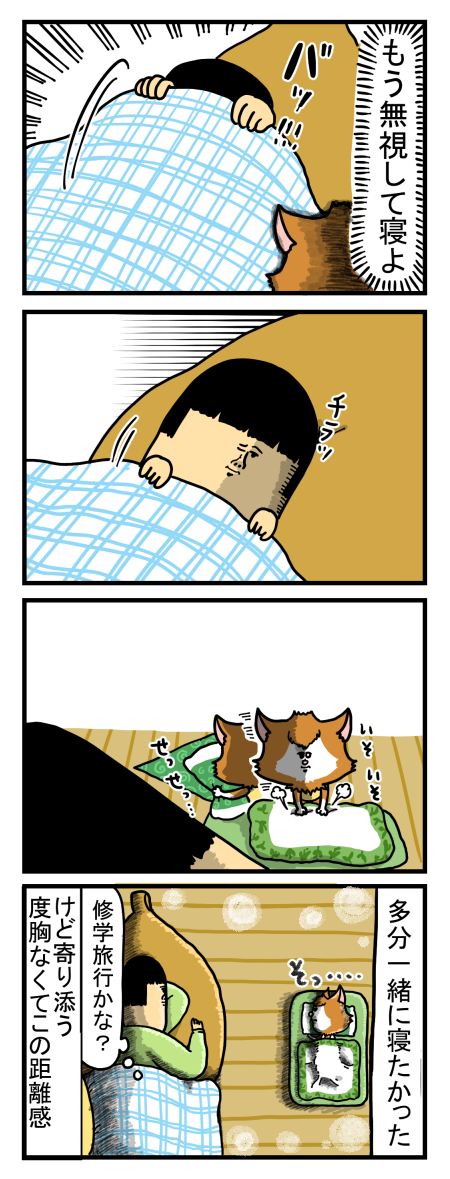 きち ガチャ まめ まめ こ