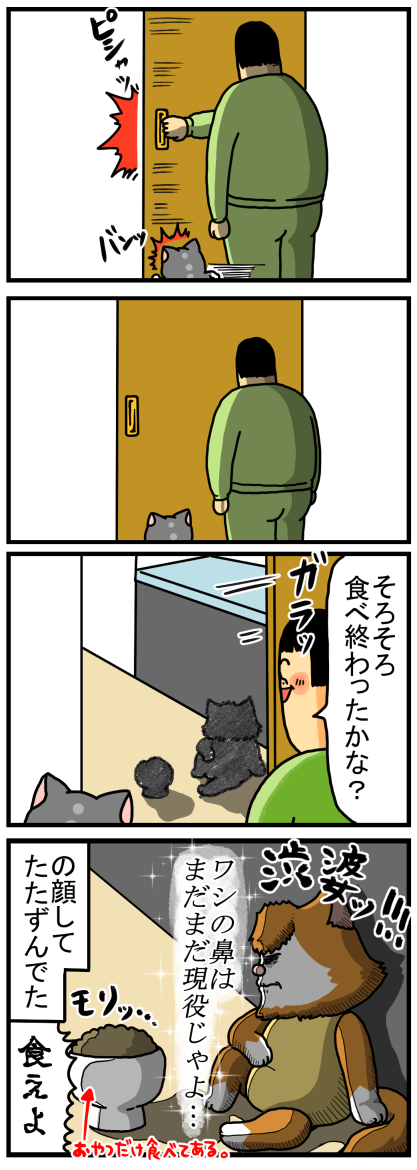 猫の水入れ機の近くにボディタオルを置いた結果 : まめきちまめこ 