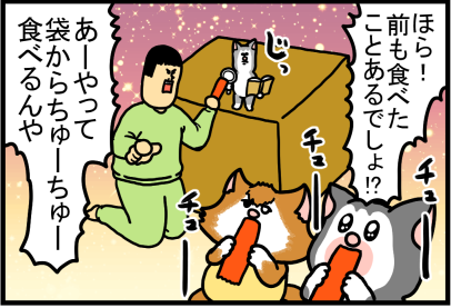 他の猫とは違います”感出してくるうちの猫 : まめきちまめこ 他の猫とは違います”感出してくるうちの猫 : まめきちまめこ
