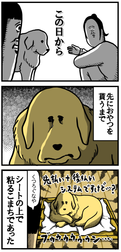 おうちでトイレと引き換えに おやつ を手に入れた犬 まめきちまめこニートの日常 Powered By ライブドアブログ