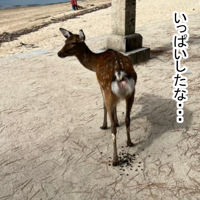 広島3-21