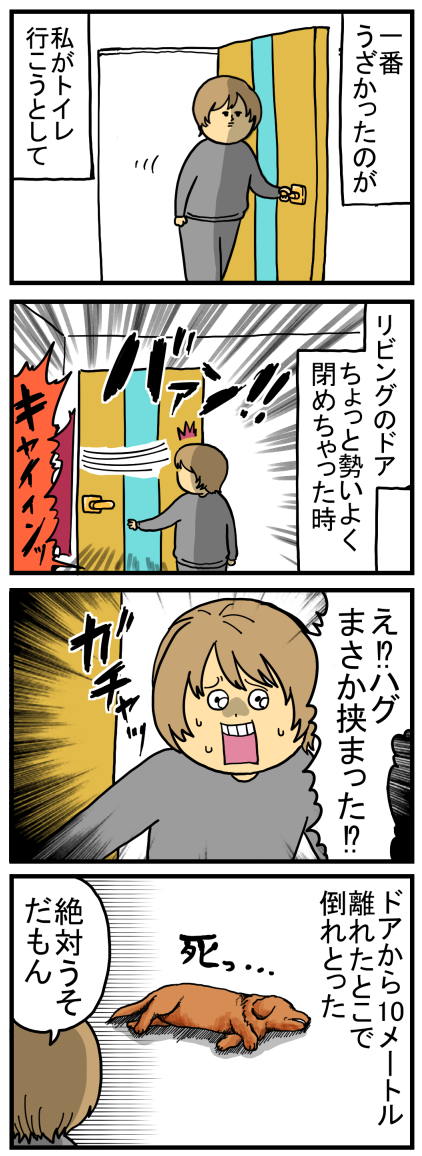 隙あらばすぐに被害者ヅラする犬たち まめきちまめこニートの日常 Powered By ライブドアブログ
