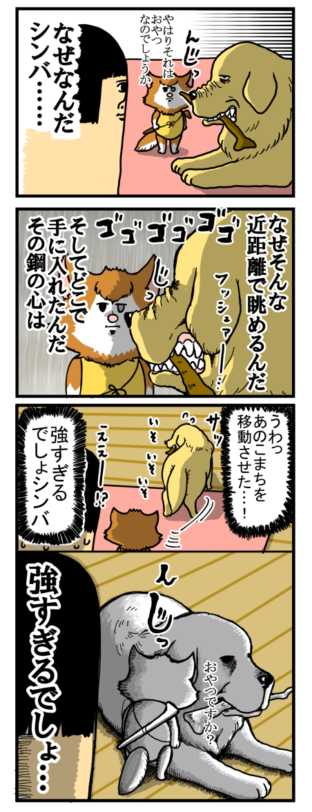 まめきちまめこ シンバ