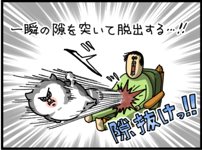 まめのこ うちの猫の必殺技3選 : まめきちまめこニートの日常 Powered by