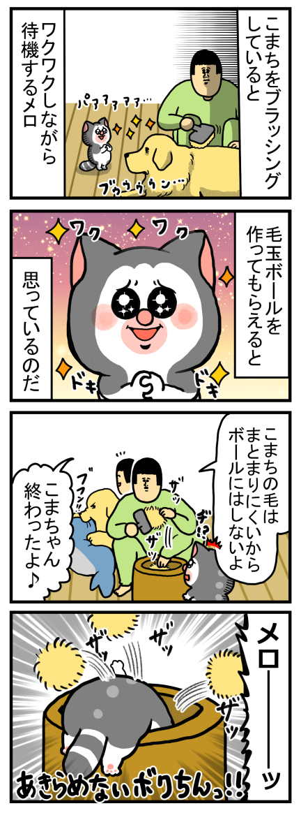 毛玉ボールにワクワクが止まらない猫 まめきちまめこニートの日常 Powered By ライブドアブログ