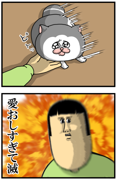 20260618-3