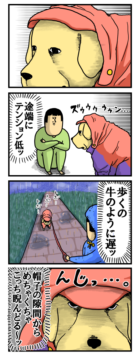 うちの犬が雨の日の散歩を嫌う理由 まめきちまめこニートの日常 Powered By ライブドアブログ