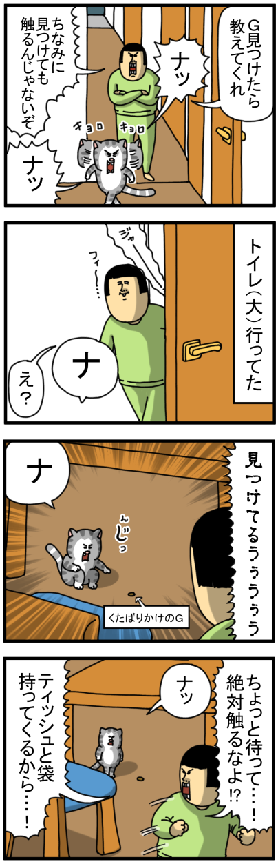 20260603-2
