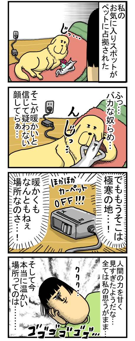 新224-1