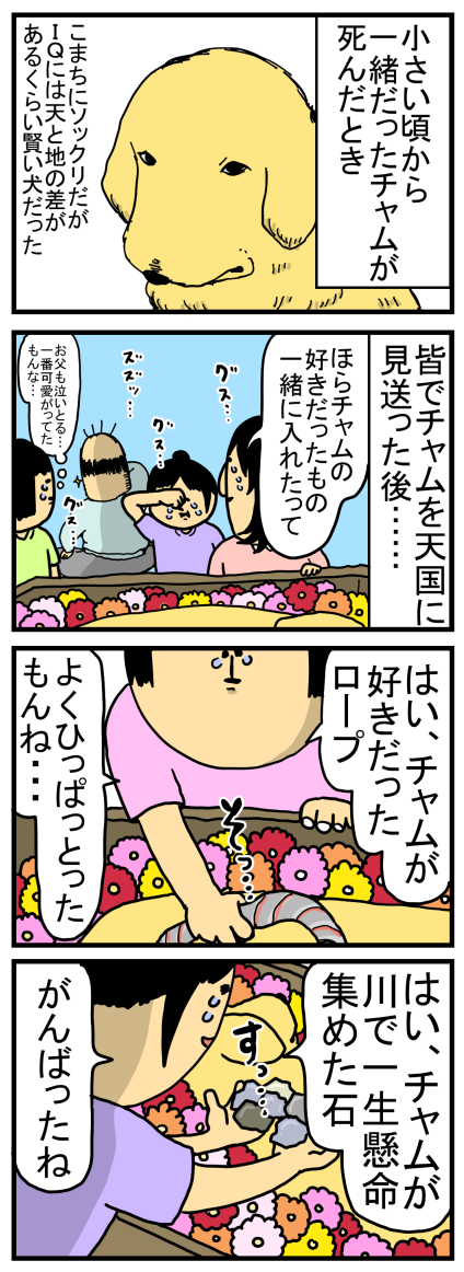 新68