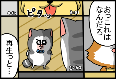 サムネだけで大体把握できる猫 : まめきちまめこニートの日常 サムネだけで大体把握できる猫 : まめきちまめこニートの日常