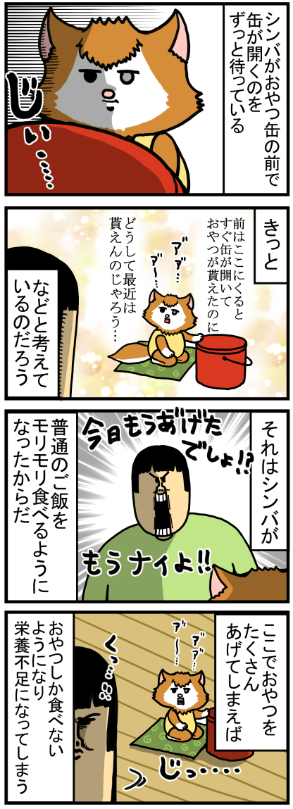 20201124-1