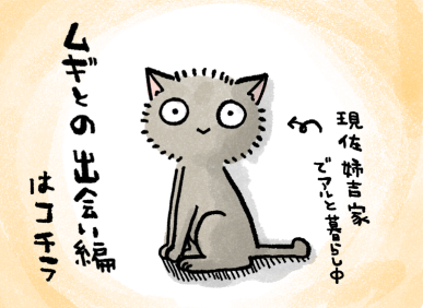 むぎ