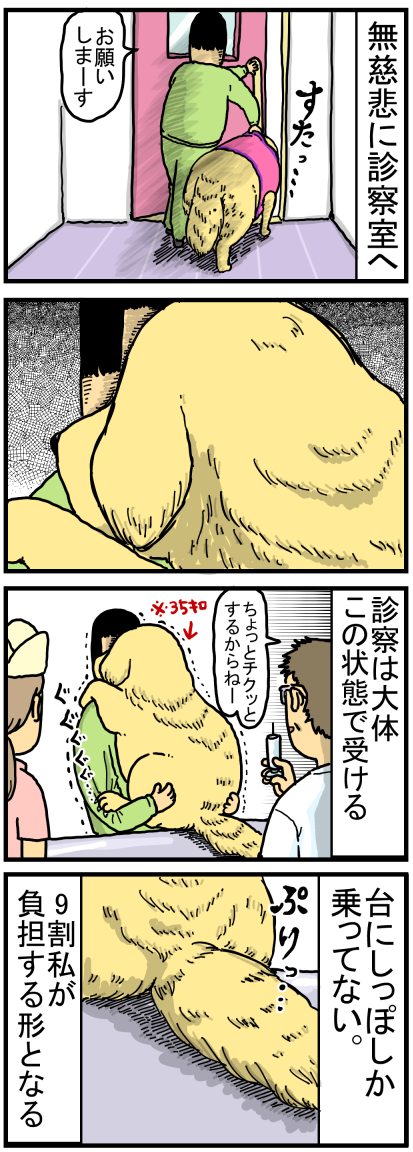 新80-1