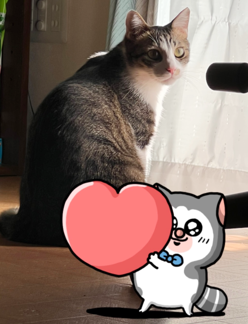 mero