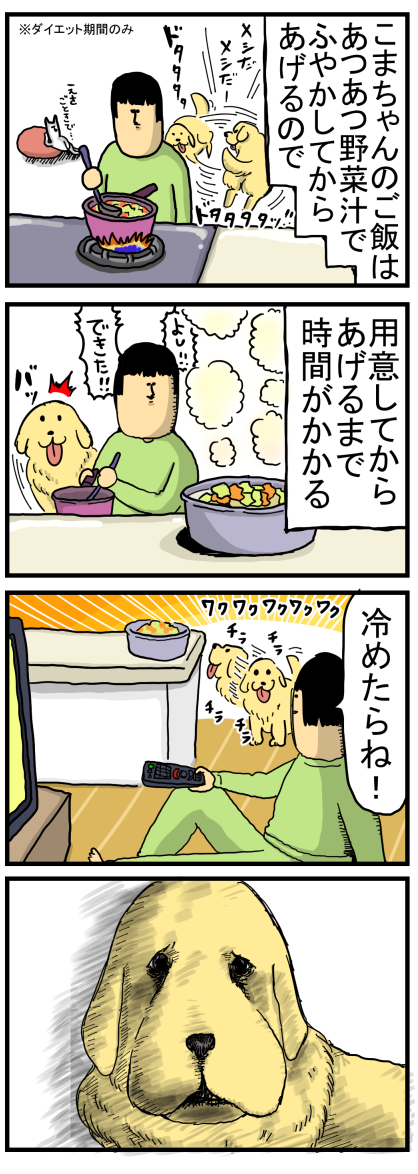犬にも 絶望した時 の表情がある まめきちまめこニートの日常 Powered By ライブドアブログ 犬にも 絶望した時 の表情がある まめきちまめこニートの日常 Powered By ライブドアブログ