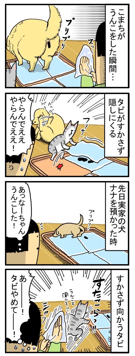 20190216(1)