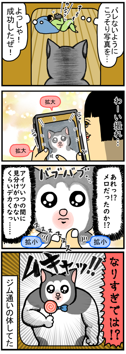 まめ きち まめ こ 顔 バレ