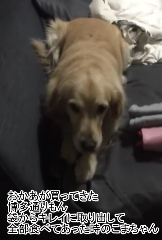 こま1-17