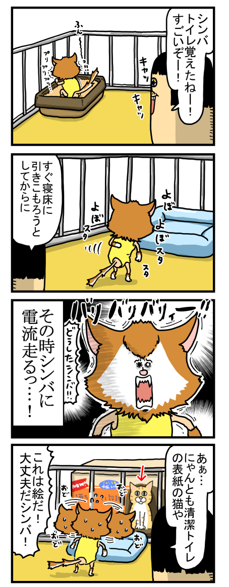 捨て猫8-1