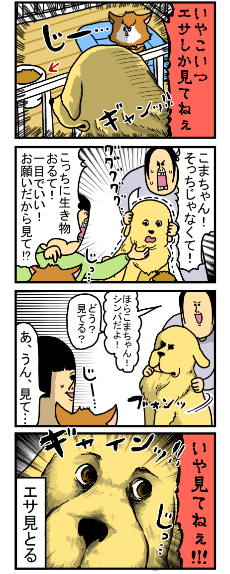 20190808-2