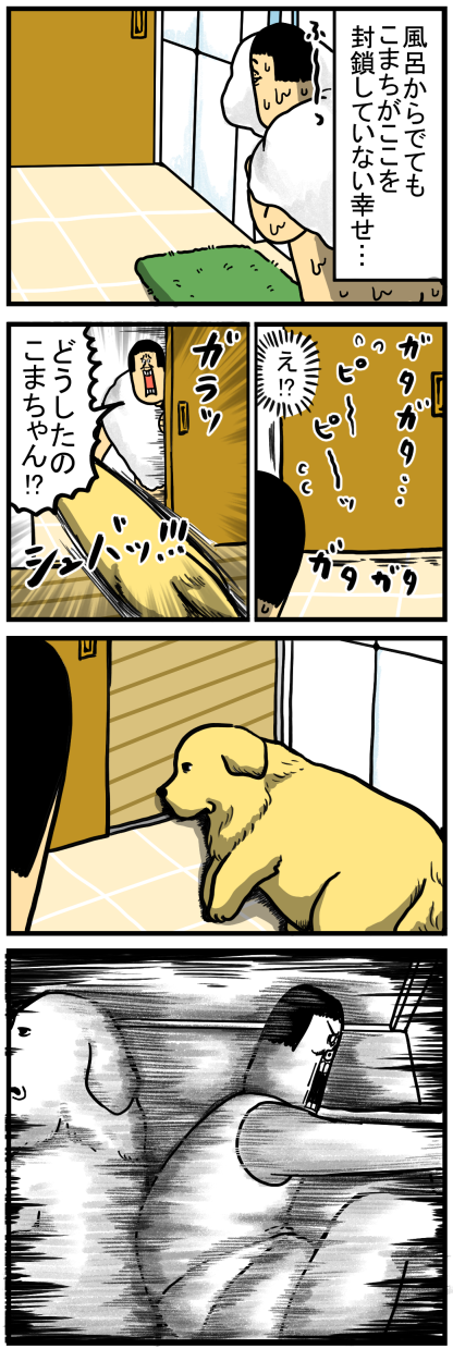 散歩 ご飯のほかに新たなルーティンを生み出した犬 まめきちまめこニートの日常 Powered By ライブドアブログ